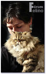 Conhe�a o F�rum Felino