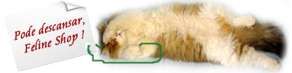 Feline Shop para seu gatinho!