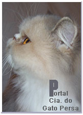 Conhe�a a Cia. do Gato Persa