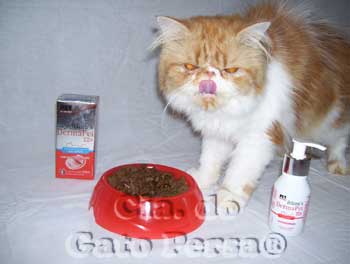 DermaPet