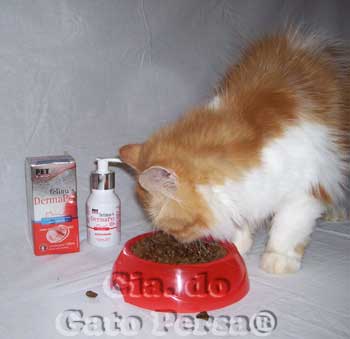 DermaPet