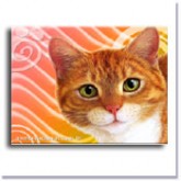 Mouse Pad Mp Cat 10