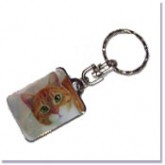 Chaveiro Ch Cat 06