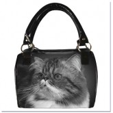 Bolsa do Rochester