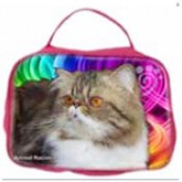 Necessaire do Rochester