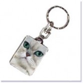 Chaveiro Ch Cat 35