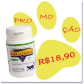 Megaderm Gatos