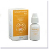 Glutamax 10ml Glutamax 10ml